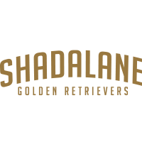 Shadalane Golden Retrievers