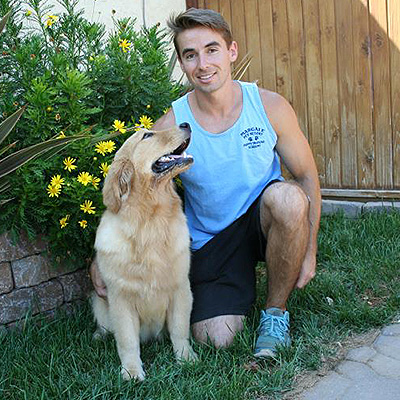 golden retriever puppies shadalane